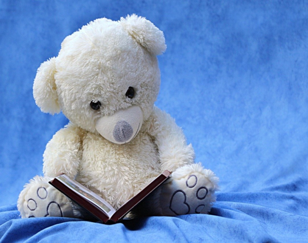 White teddy bear reading story book with blue background